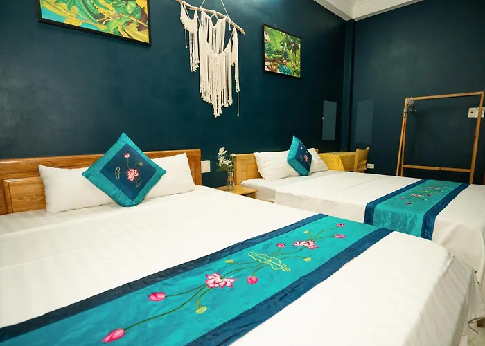 Viethouse Nhà khách Hạ Long